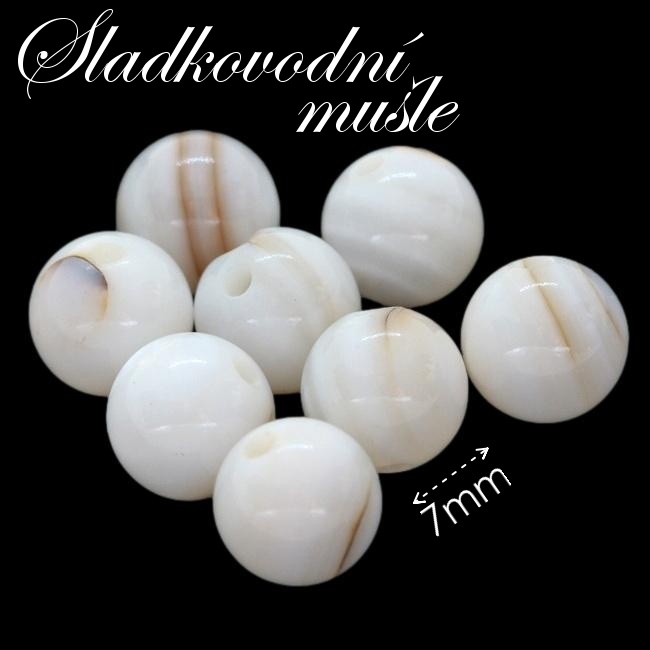 SLADKOVODNÍ MUŠLE, 6mm