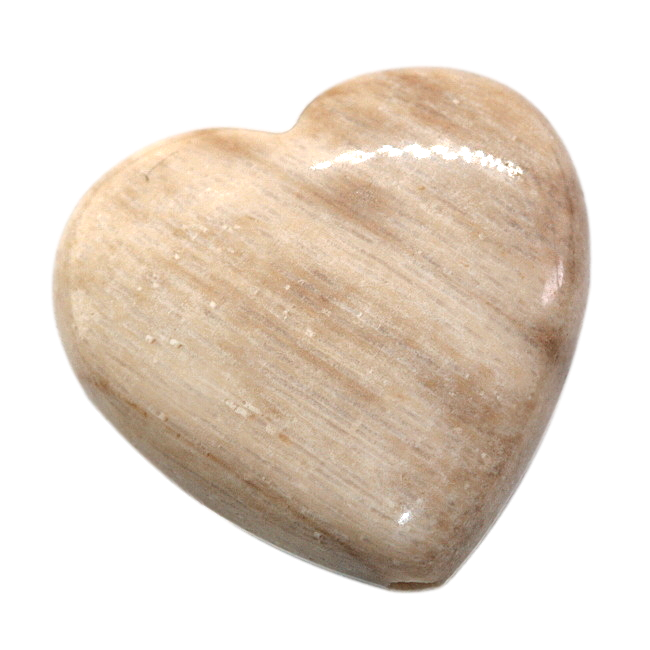 ARAUKARIT (zkamenělé dřevo), srdíčko, 20x7mm