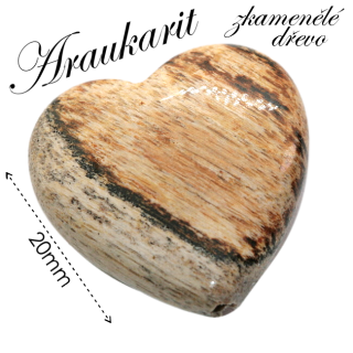 ARAUKARIT (zkamenělé dřevo), srdíčko, 20x7mm