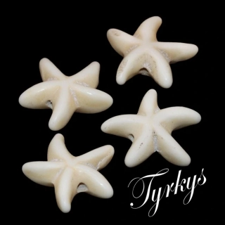 TYRKYS, mořská hvězda, 15x5,5mm